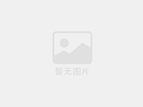 CCD视觉激光打标机